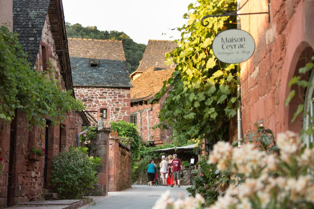 Les Gites Du Gauliat Espartignac 外观 照片